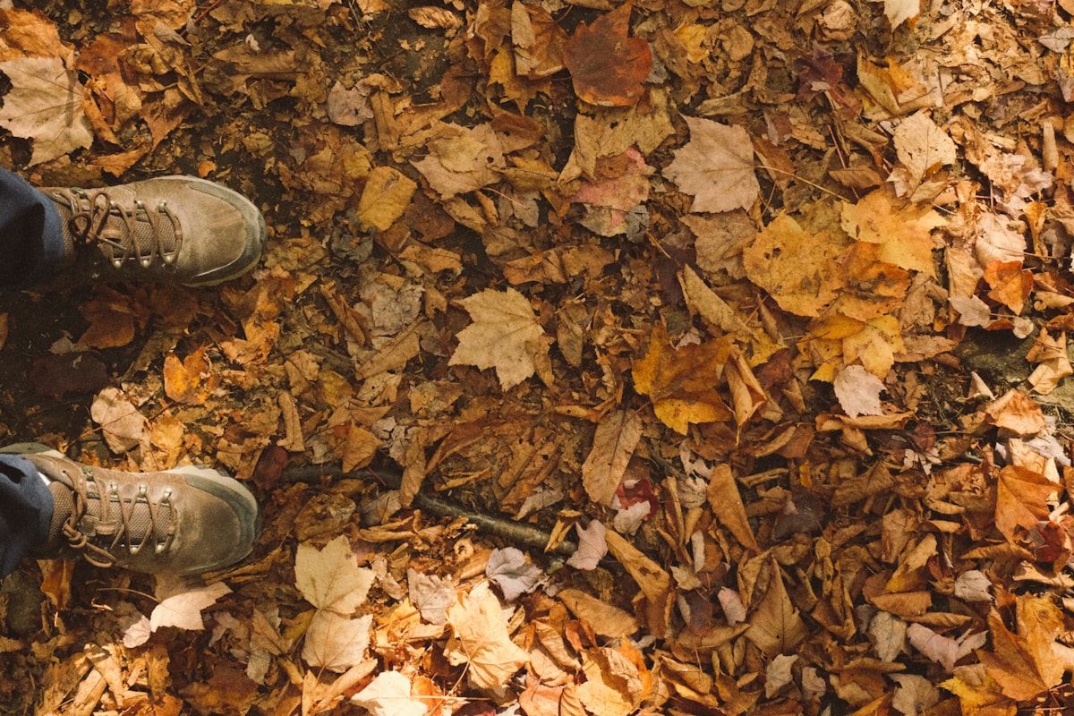 A top-down view of a person's feet in plain laced boots standing at the edge of a thick bed of fallen autumn leaves, no identifiable face and no readable brand or logo, for the piece on September and the start of a new term being a stronger habit-reset landmark than January
